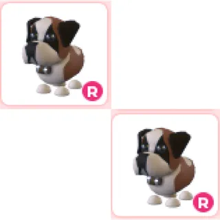 2x R St Bernard