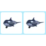 2x Orca