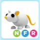 NFR Golden Rat