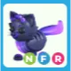 NFR Glormy leo