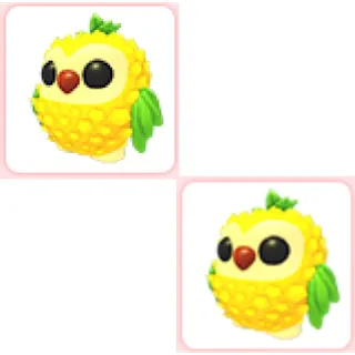 2x Pineapple Owl