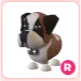 R St. Bernard
