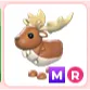 mr irish elk