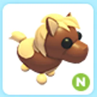 N Shetland Pony Dark Brown