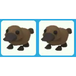 2x Platypus