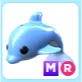 MR Dolphin