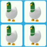 4x Silly Duck