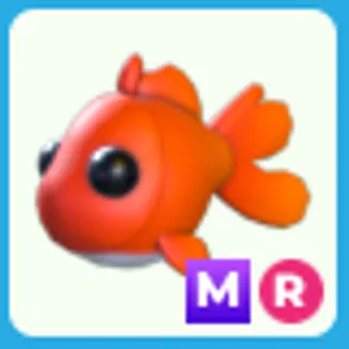 MR Goldfish