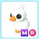 MR Happy Duckling