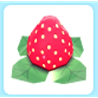 Limited | Strawberry hat