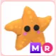 MR Starfish