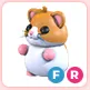 FR Hamster