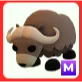 M Musk Ox