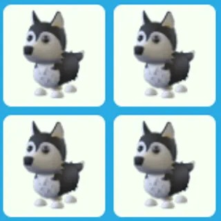 4x Husky