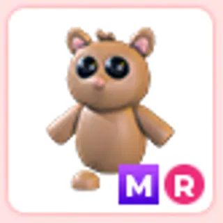 MR Tarsier
