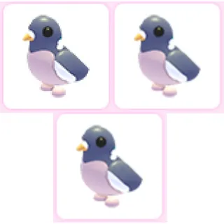 3x Wood Pigeon