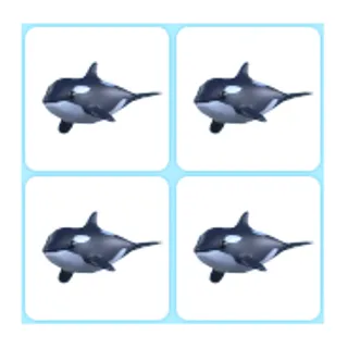4x Orca
