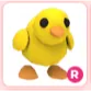 R Chick