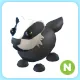 n badger