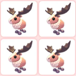 4x Papa Moose