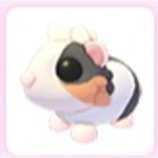 Tortoiseshell Guinea Pig