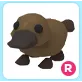 R Platypus