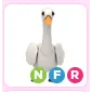 Pet | NFR Swan