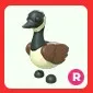 R Canadian Goose