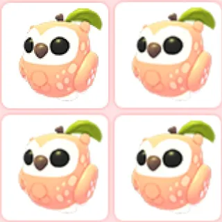 4x Peach Owl