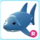 R Shark