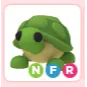 Pet | NFR Turtle