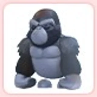 Silverback Gorilla