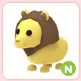 N Lion