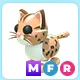 MFR Leopard Cat