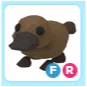 FR Platypus