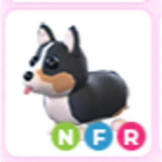 NFR Royal Corgi