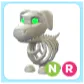 NR Halloween White Skeleton Dog