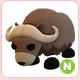 N Musk Ox