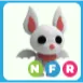 NFR Albino Bat