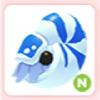 N Nautilus