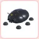 Giant Black Scarab