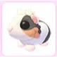 Tortoiseshell Guinea Pig