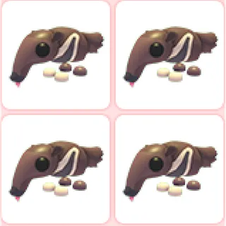 4x Giant Anteater