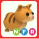 NFR Ginger Cat