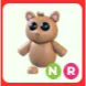 NR Tarsier