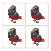 4x Dracula Parrot