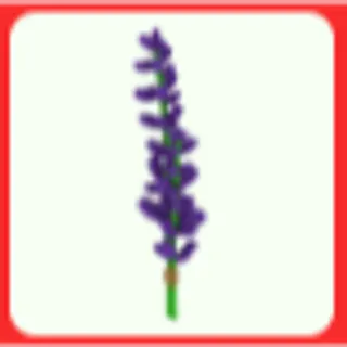 Lavender Bundle