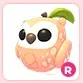 R Peach Owl
