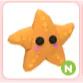 N Starfish