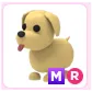 Pet | MR Dog